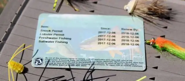 5 Reasons to Get Your Fishing License Online