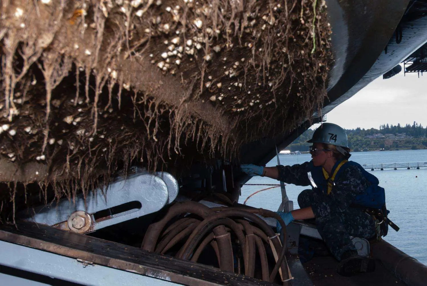 Barnacle busting: Research targets ship biofouling