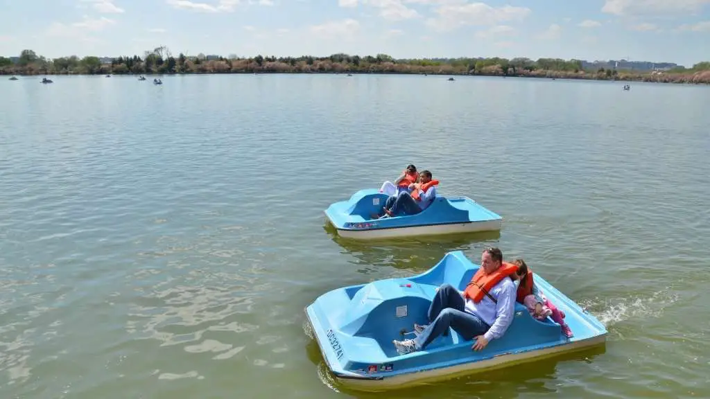 Best Places To Rent A Paddle Boat In Orange County  CBS ...