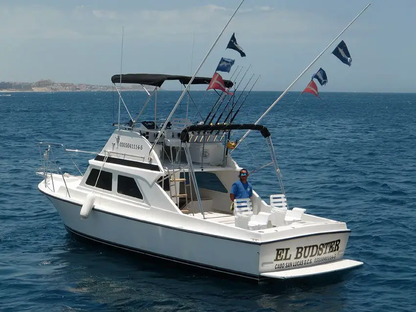 Cabo San Lucas Sport Fishing Charter Boat Selection