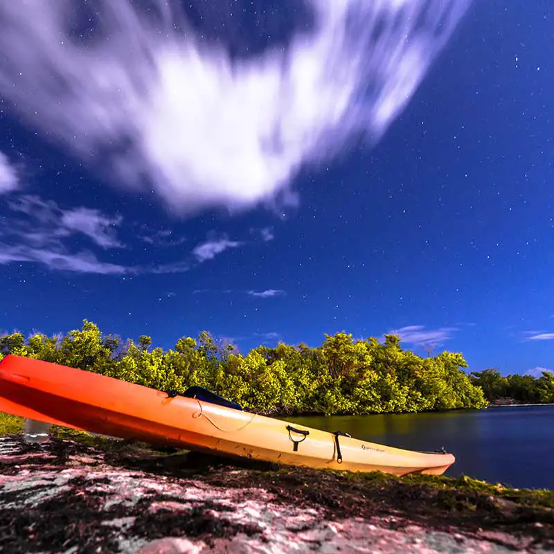 Discover Bioluminescence, Bio Bay Kayak Tour in Fajardo, Puerto Rico