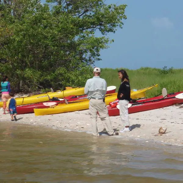 Everglades Boat Assisted Kayak Tour