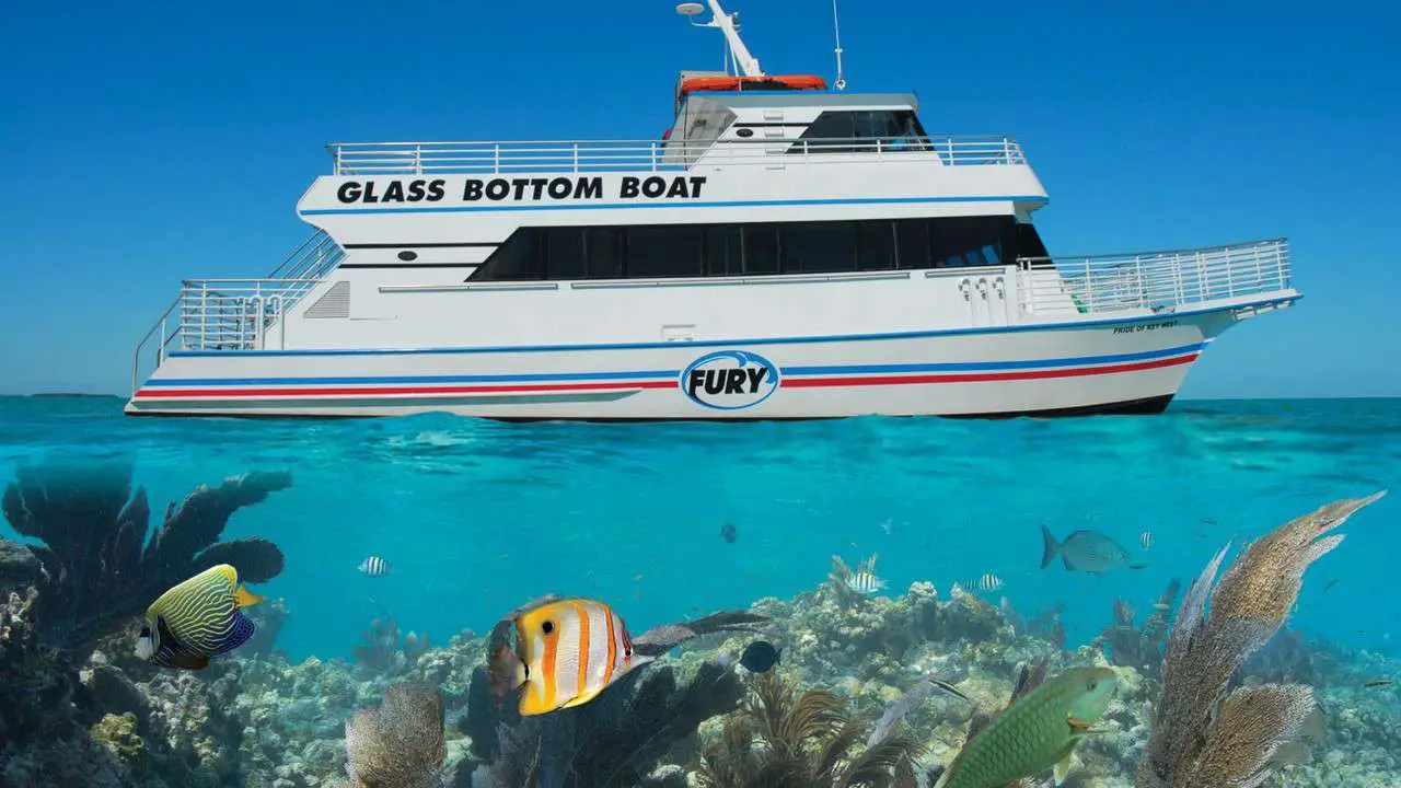 Glass Bottom Boat Tour in Key West $39
