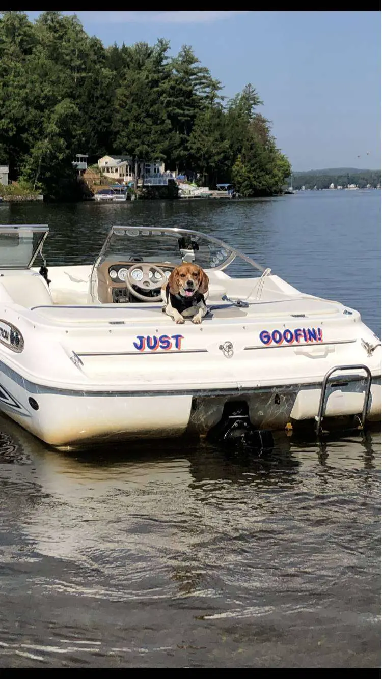 Glastron Boat Lettering from Jeffrey M, MA ...