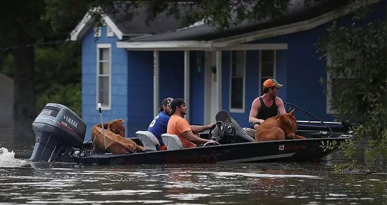 Got Flood Insurance? You Probably Need It