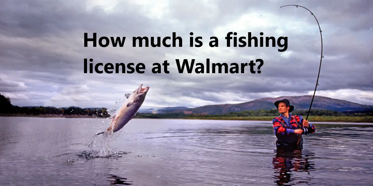 How much is a fishing license at Walmart?