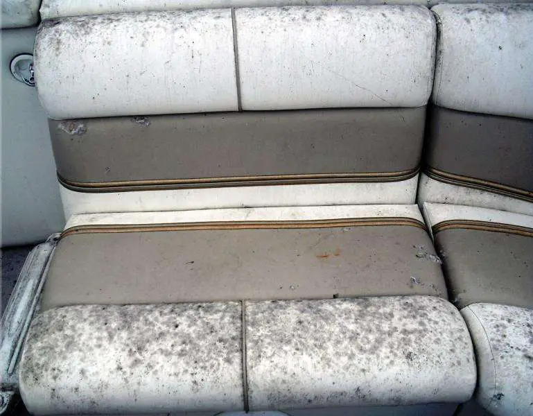 How to clean mildew off your boat seats