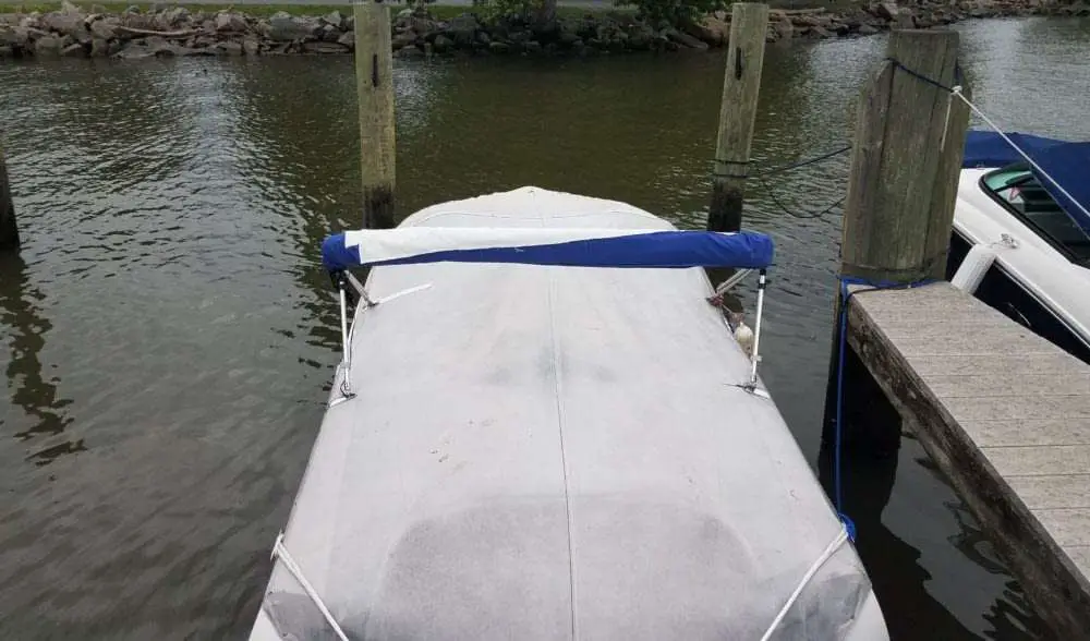 How to Keep Birds off your Dock &  Boat for Good