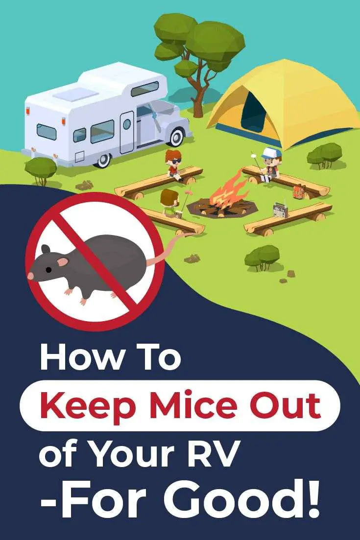 How To Keep Mice Out of Your RV