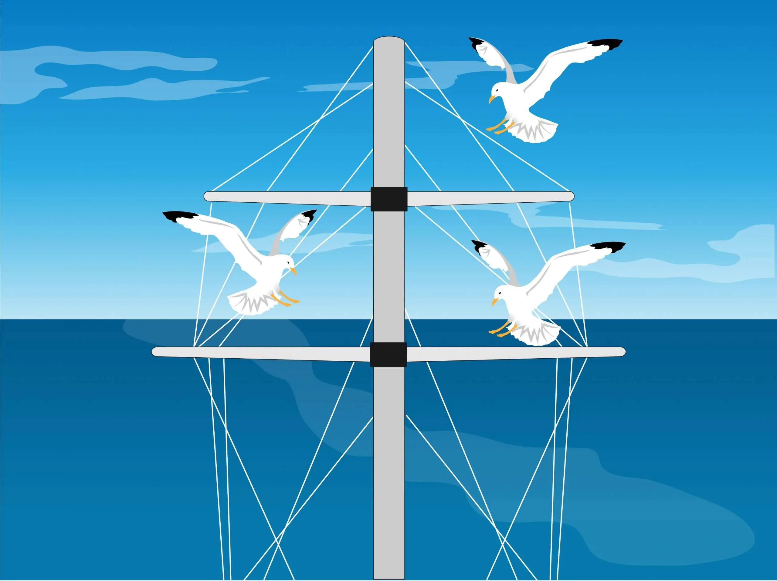 How to Keep Pest Birds off Your Boat: 3 Steps (with Pictures)