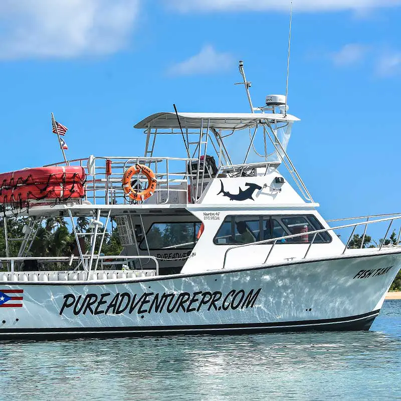 Snorkeling Boat Cruise Tour to Vieques Island, Puerto Rico