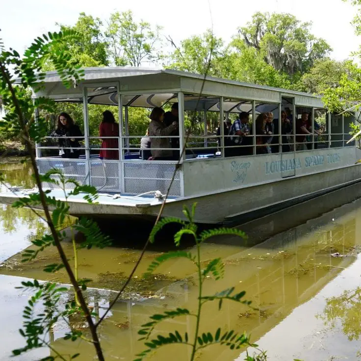 Swamp Tour Boat