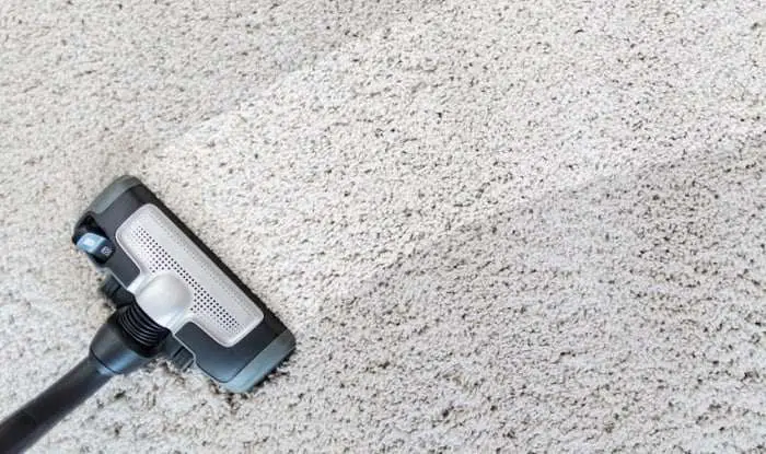 The 12 Best Boat Carpet Cleaner Reviews for 2020