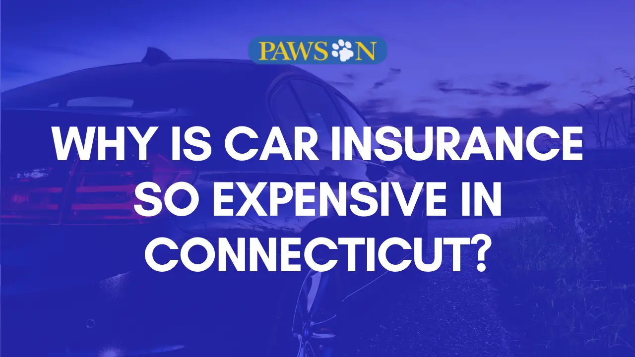 Why Is Car Insurance So Expensive in Connecticut?
